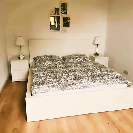 Historische Altbauwohnungen Im Zentrum Von - Apolonialiving Holiday home Zwickau
