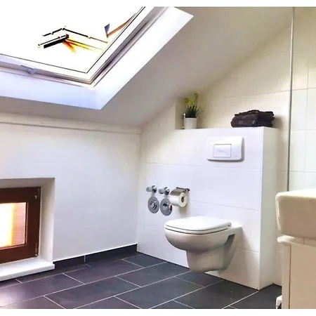 Historische Altbauwohnungen Im Zentrum Von - Apolonialiving Ferienhaus Zwickau