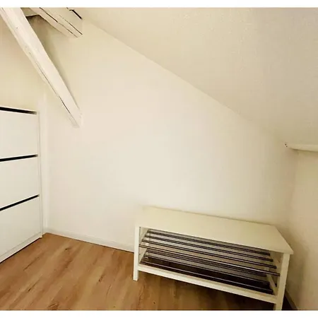 Historische Altbauwohnungen Im Zentrum Von - Apolonialiving Ferienhaus Zwickau