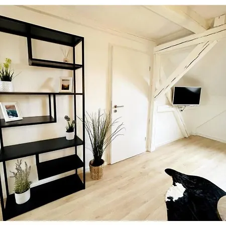 Ferienhaus Historische Altbauwohnungen Im Zentrum Von - Apolonialiving Zwickau