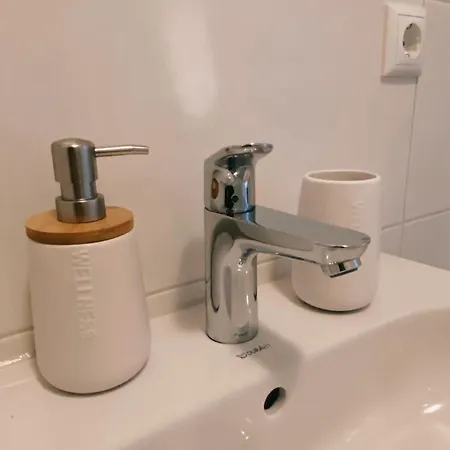 Historische Altbauwohnungen Im Zentrum Von - Apolonialiving