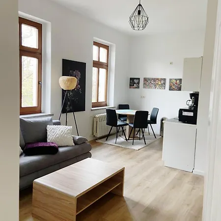 Historische Altbauwohnungen Im Zentrum Von - Apolonialiving Zwickau