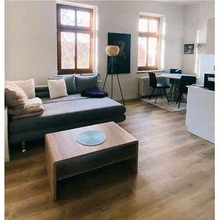 Historische Altbauwohnungen Im Zentrum Von - Apolonialiving Zwickau