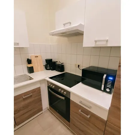 Historische Altbauwohnungen Im Zentrum Von - Apolonialiving Ferienhaus Zwickau