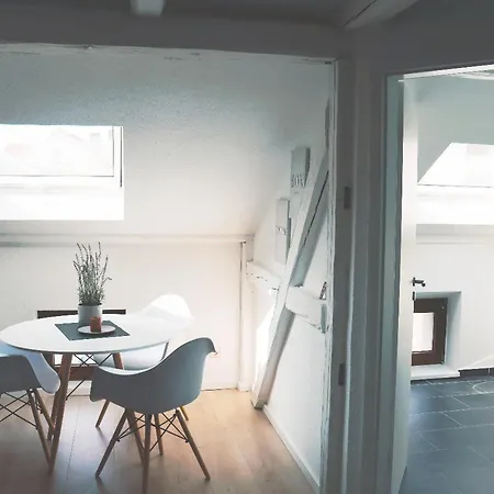 Historische Altbauwohnungen Im Zentrum Von - Apolonialiving Ferienhaus *