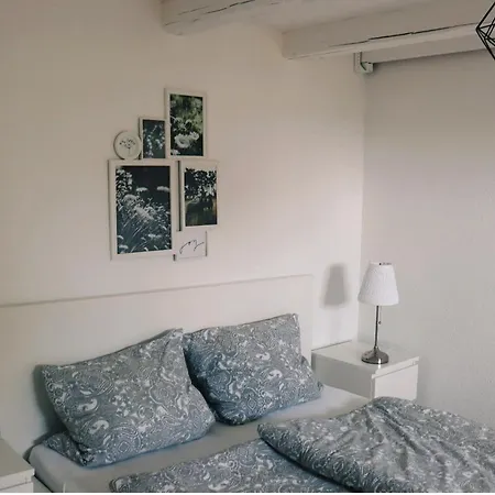 Historische Altbauwohnungen Im Zentrum Von - Apolonialiving Ferienhaus Zwickau