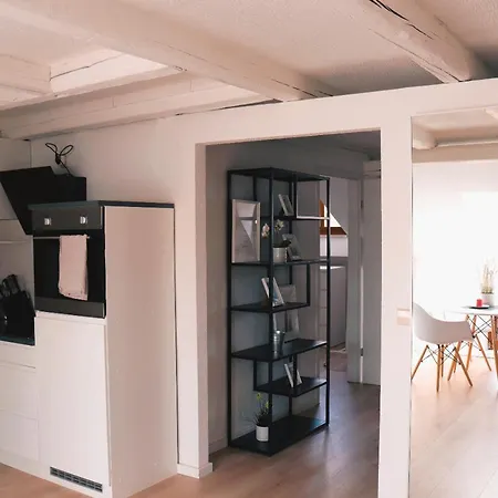 Ferienhaus Historische Altbauwohnungen Im Zentrum Von - Apolonialiving Zwickau