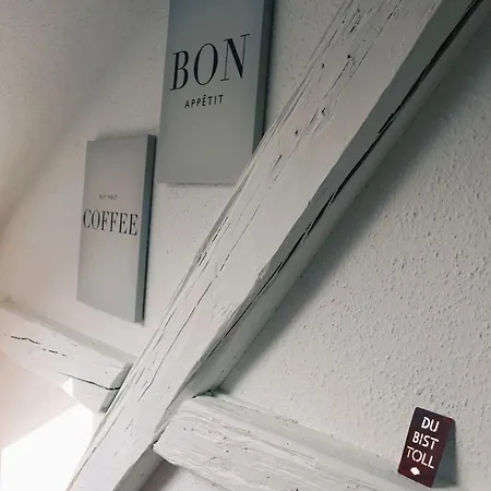 Historische Altbauwohnungen Im Zentrum Von - Apolonialiving Zwickau