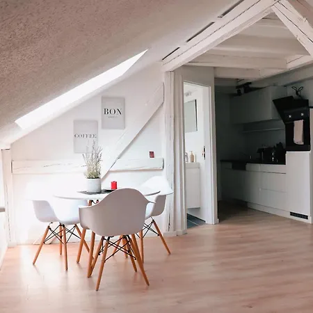 Historische Altbauwohnungen Im Zentrum Von - Apolonialiving