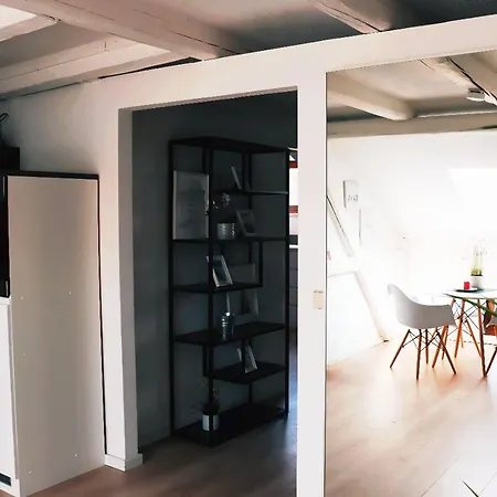 Historische Altbauwohnungen Im Zentrum Von - Apolonialiving *