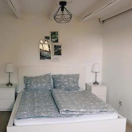 Historische Altbauwohnungen Im Zentrum Von - Apolonialiving