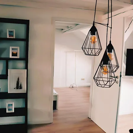 Historische Altbauwohnungen Im Zentrum Von - Apolonialiving Цвиккау