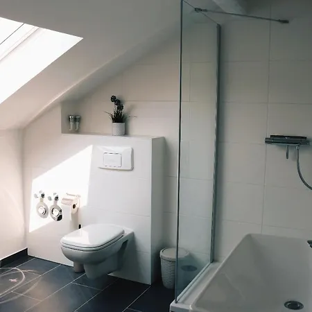 Ferienhaus Historische Altbauwohnungen Im Zentrum Von - Apolonialiving Zwickau