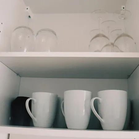 Historische Altbauwohnungen Im Zentrum Von - Apolonialiving Zwickau