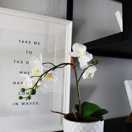 Historische Altbauwohnungen Im Zentrum Von - Apolonialiving Ferienhaus Zwickau