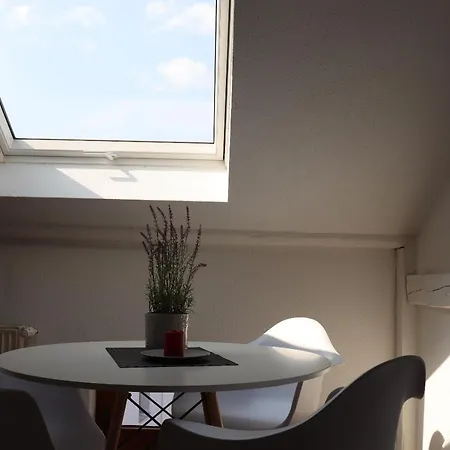 Ferienhaus Historische Altbauwohnungen Im Zentrum Von - Apolonialiving Zwickau