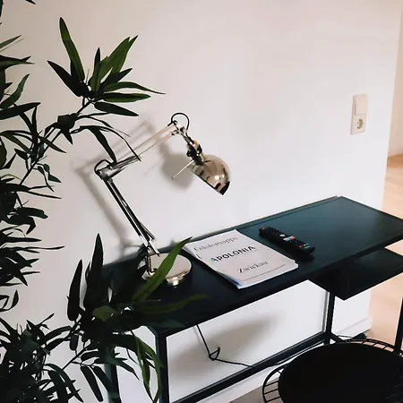 Historische Altbauwohnungen Im Zentrum Von - Apolonialiving Ferienhaus Zwickau