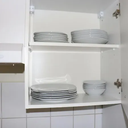 Historische Altbauwohnungen Im Zentrum Von - Apolonialiving Zwickau