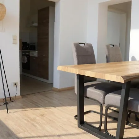 Historische Altbauwohnungen Im Zentrum Von - Apolonialiving Ferienhaus Zwickau