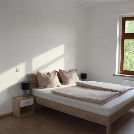 Historische Altbauwohnungen Im Zentrum Von - Apolonialiving Zwickau